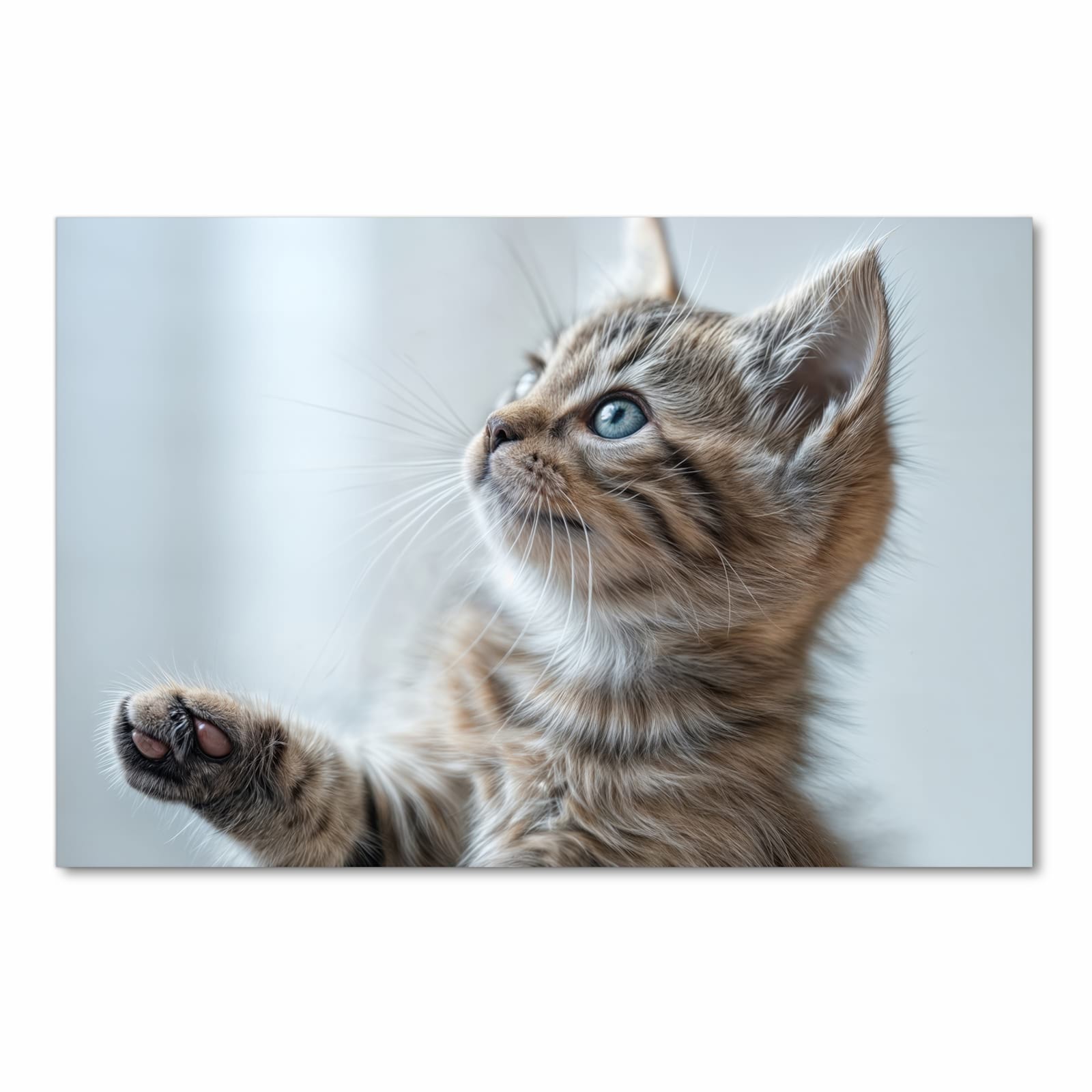 Strapazierfähiger dünner Küchenteppich mit Motiv Kätzchen22 in Frontansicht