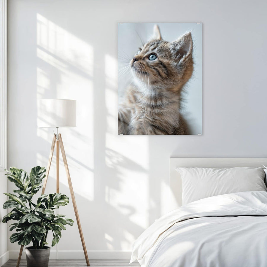 Maße Wandbild - Getigertes Kätzchen - Hochformat