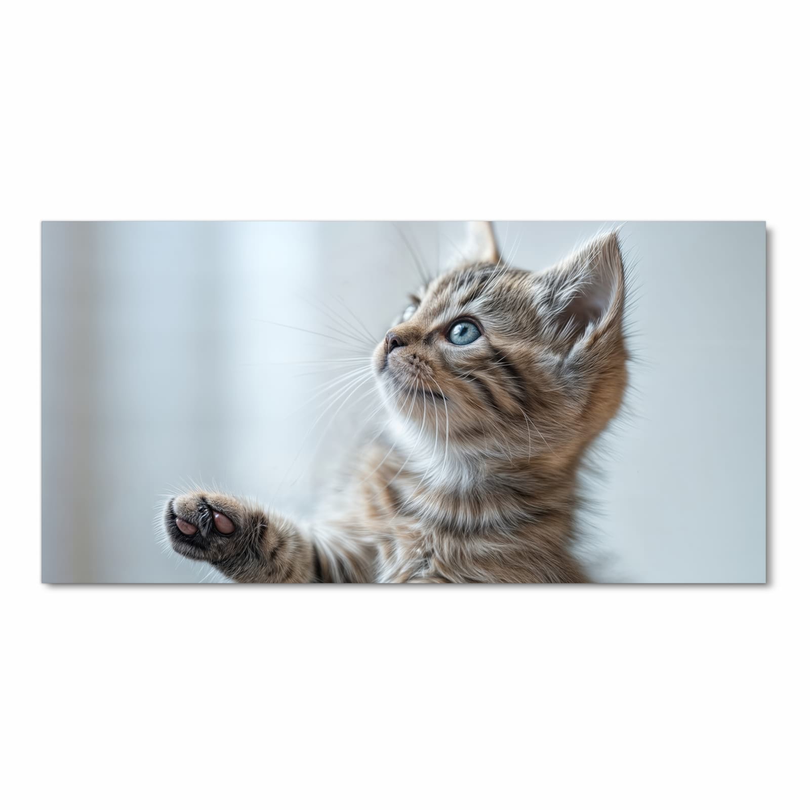 Pflegeleichter Teppichläufer für die Küche mit Motiv Kätzchen22 in Frontansicht