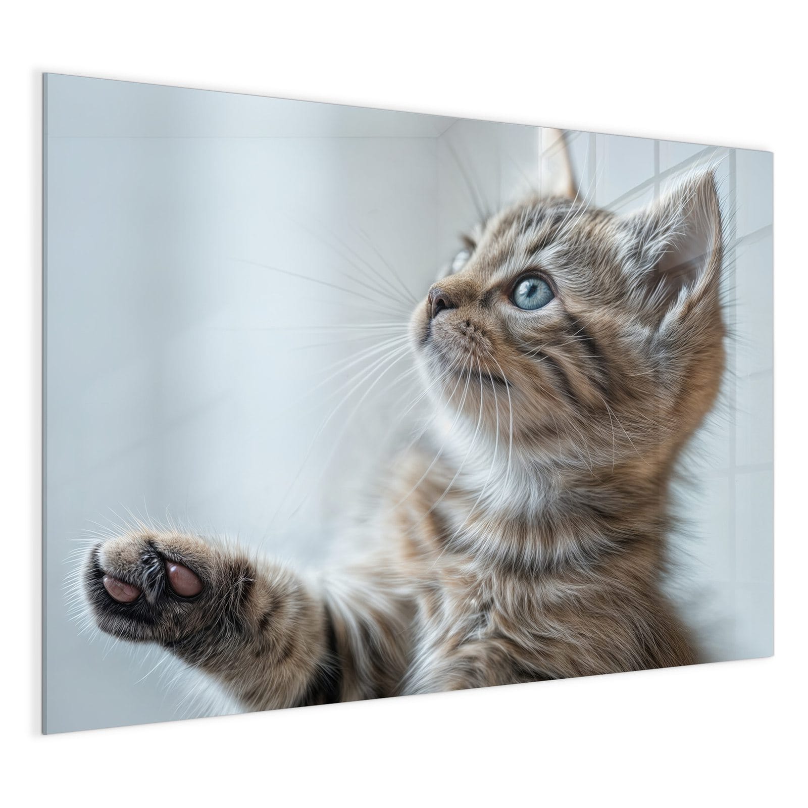 #grösse_120 x 90 cm