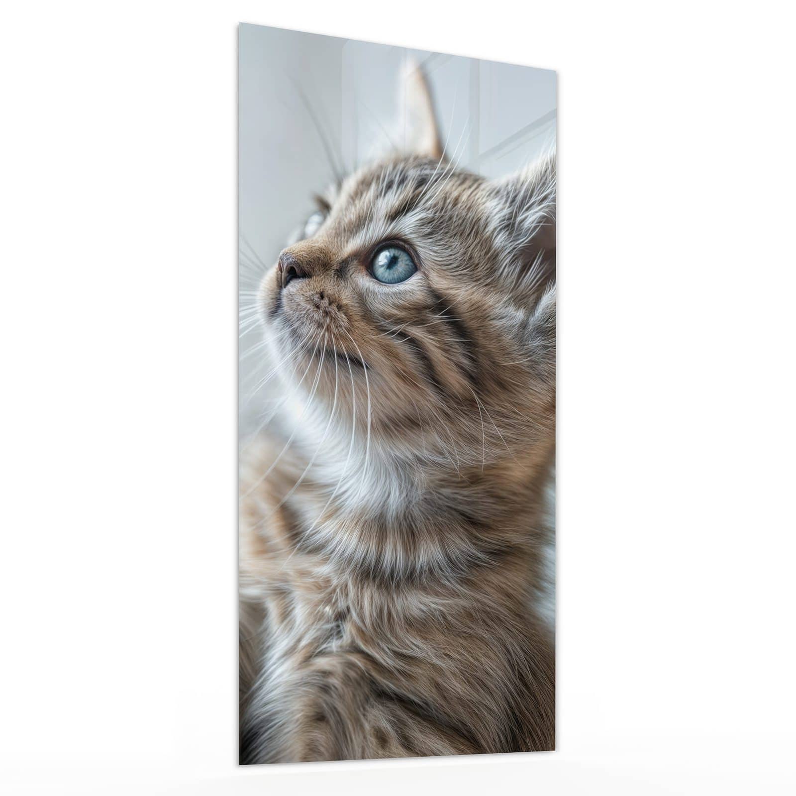 #grösse_30 x 60 cm #grösse_40 x 80 cm #grösse_50 x 100 cm #grösse_55 x 110 cm #grösse_60 x 120 cm