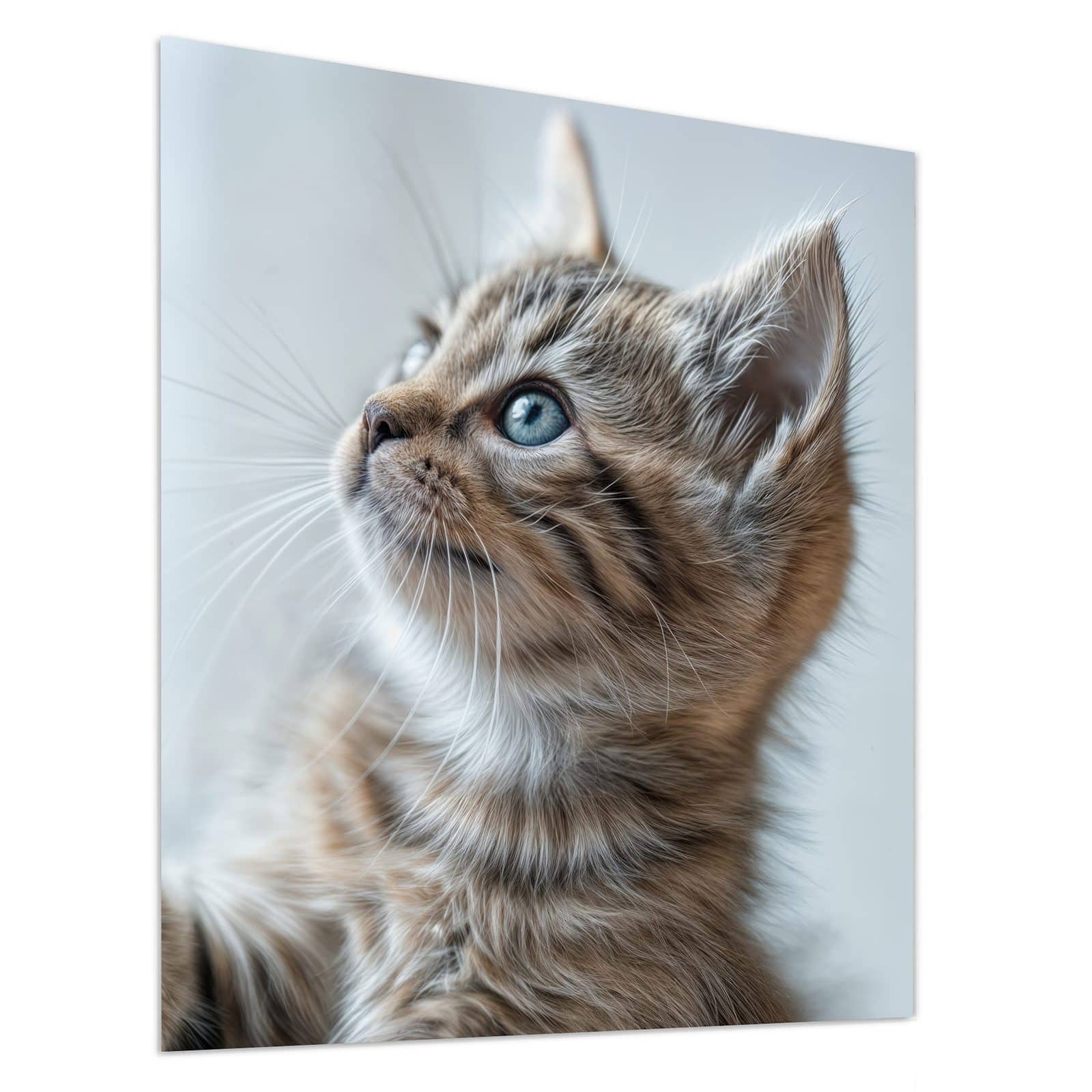 #grösse_90 x 100 cm