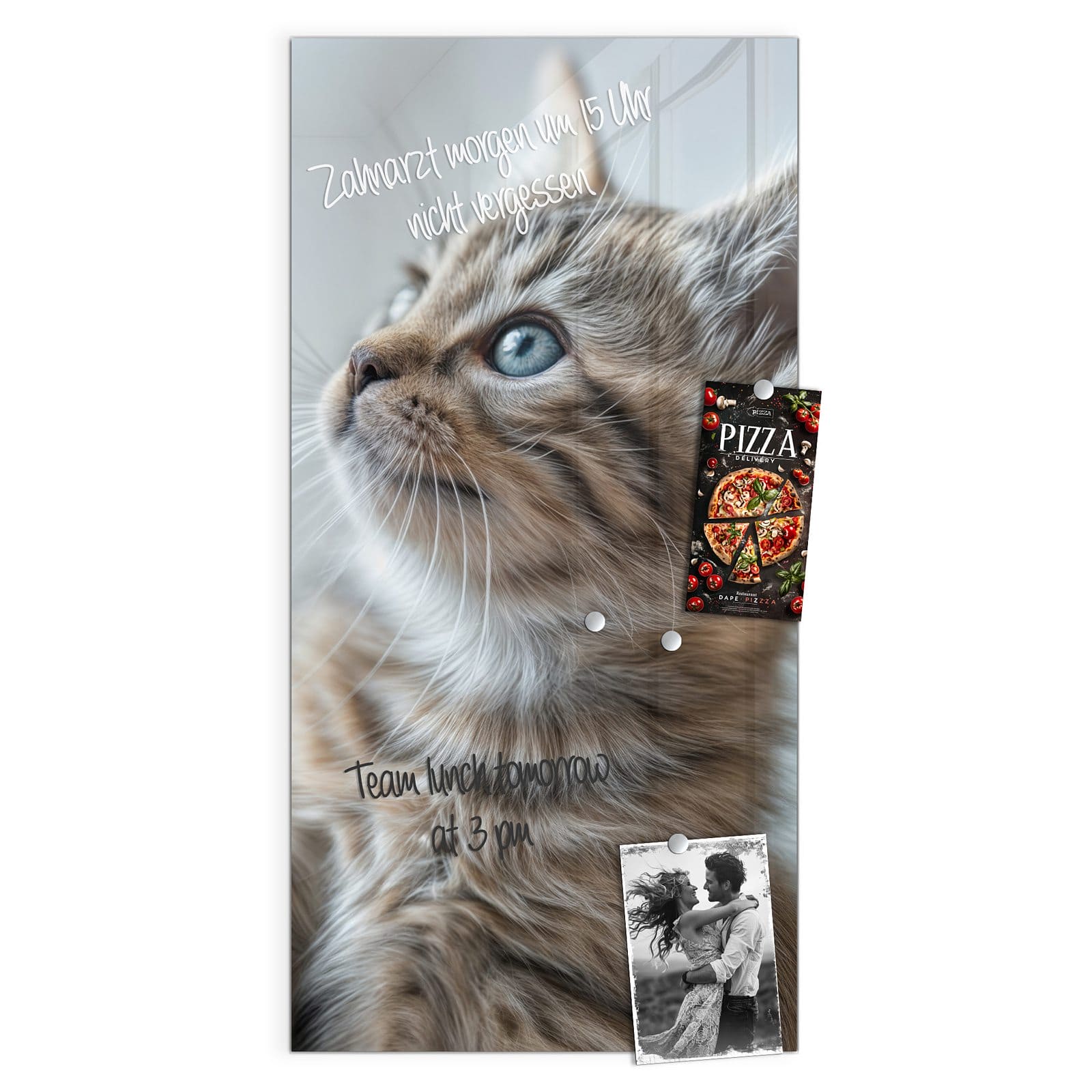 #grösse_50 x 100 cm