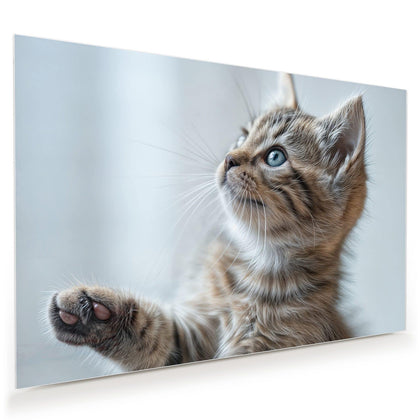 Wandbild mit dem Motiv Getigertes Kätzchen