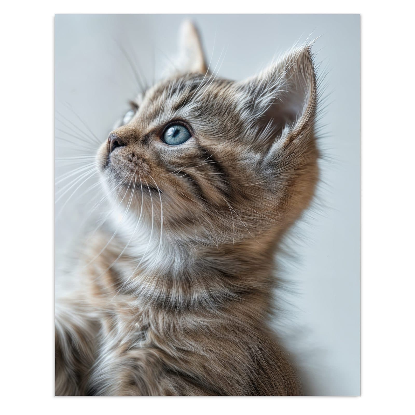 #grösse_60 x 75 cm #grösse_80 x 100 cm