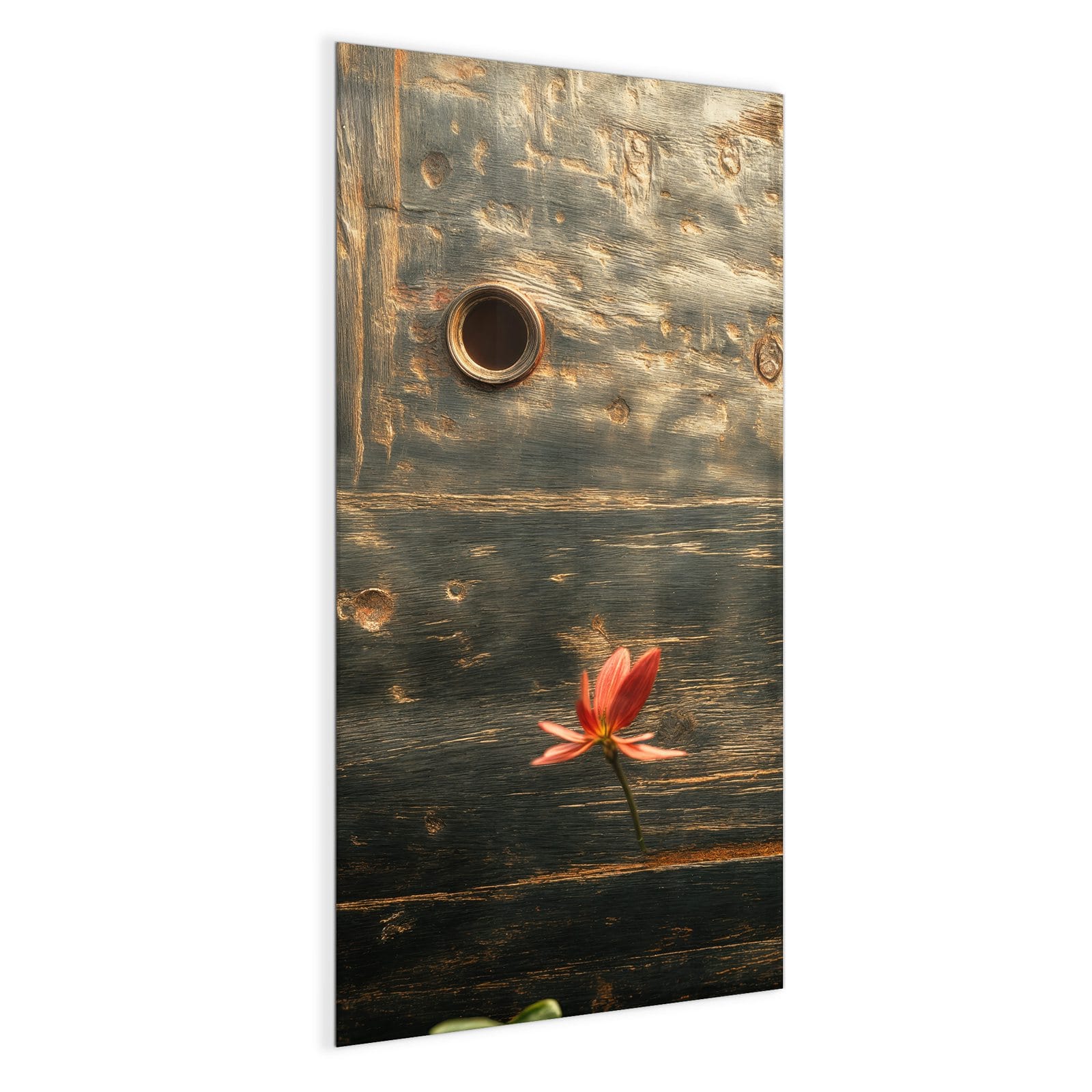 #grösse_50 x 100 cm