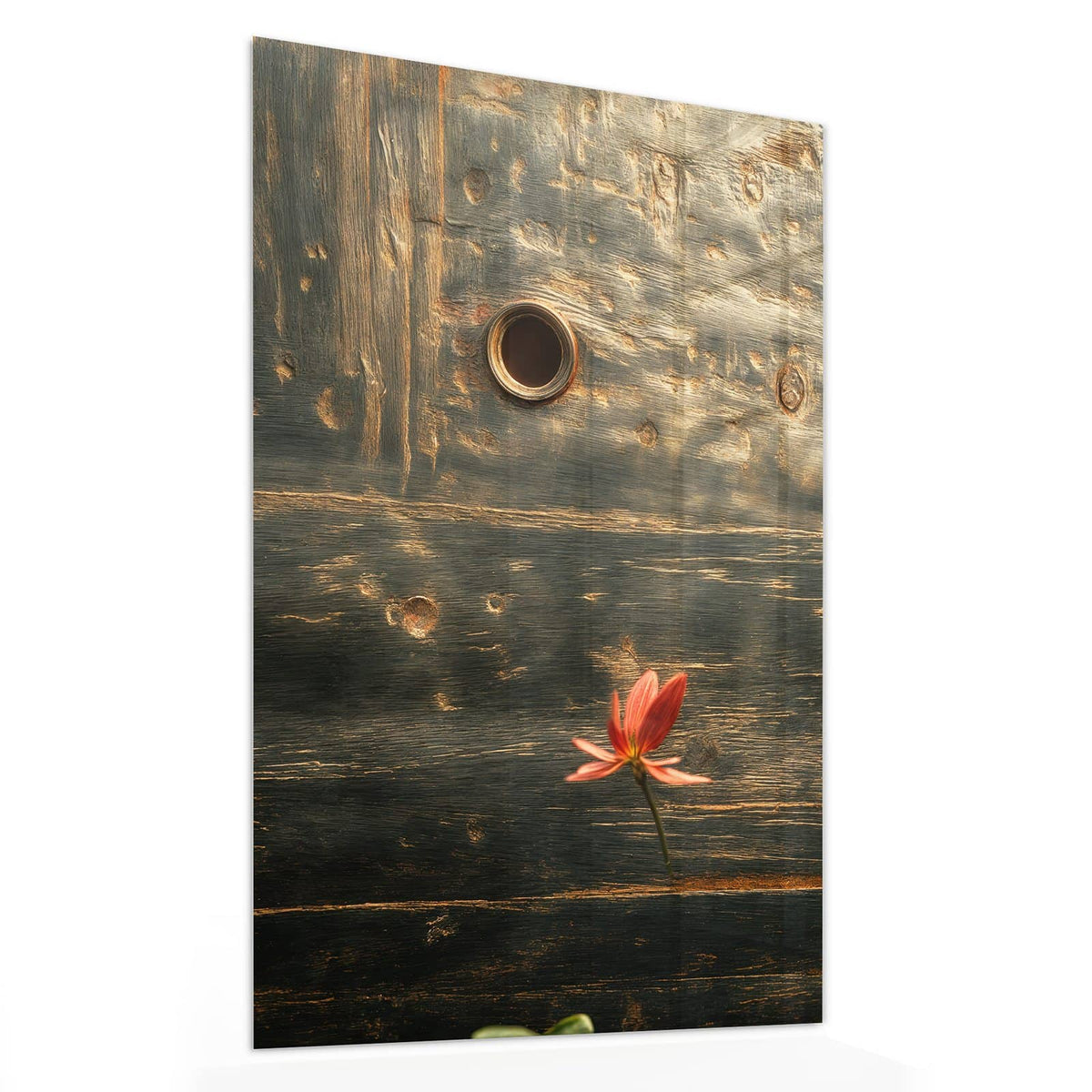 11 Größen – von 30 × 60 bis 60 × 150 cm – Wandbild - Rote Blüten am Metall - Hochformat