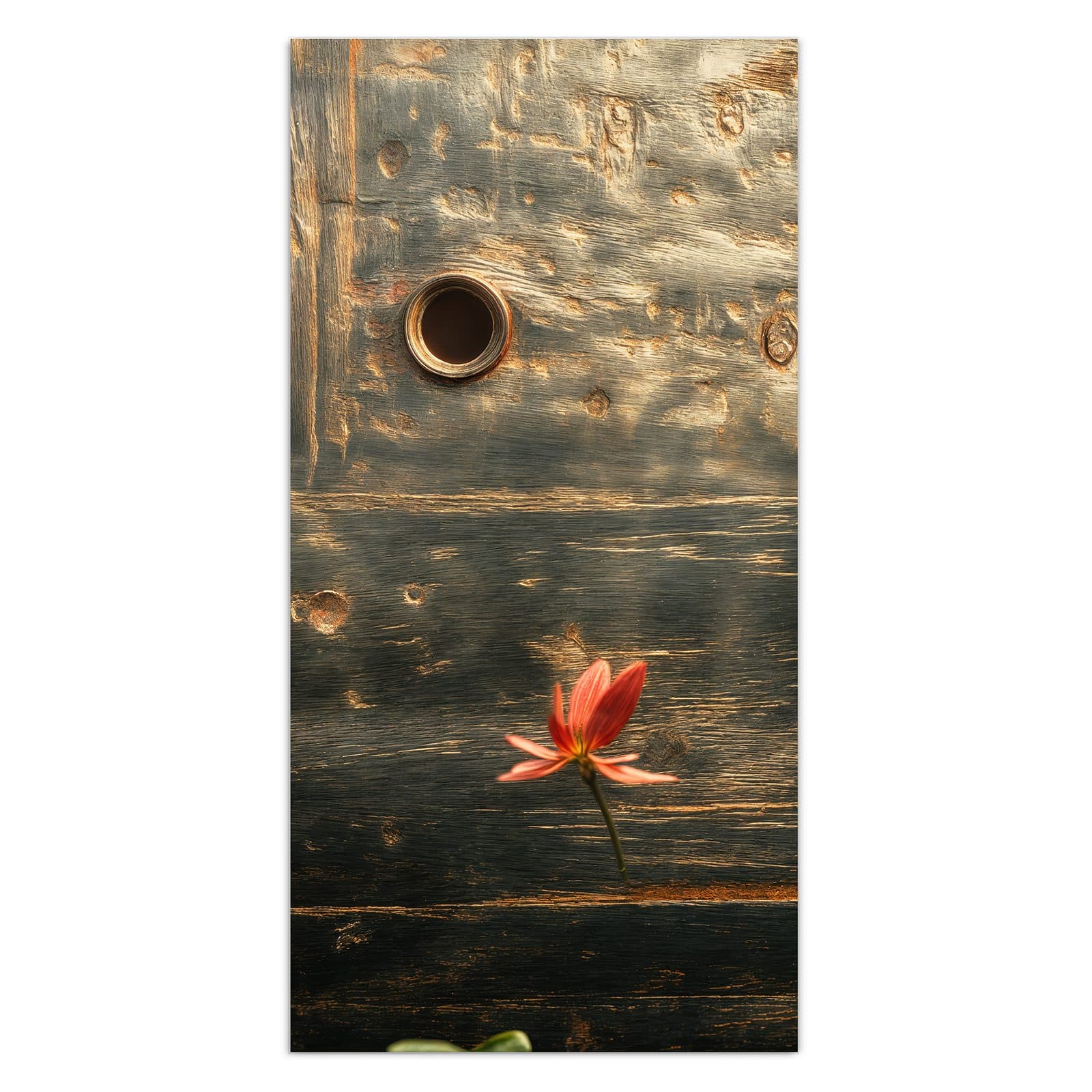 #grösse_30 x 60 cm #grösse_40 x 80 cm #grösse_50 x 100 cm #grösse_55 x 110 cm #grösse_60 x 120 cm