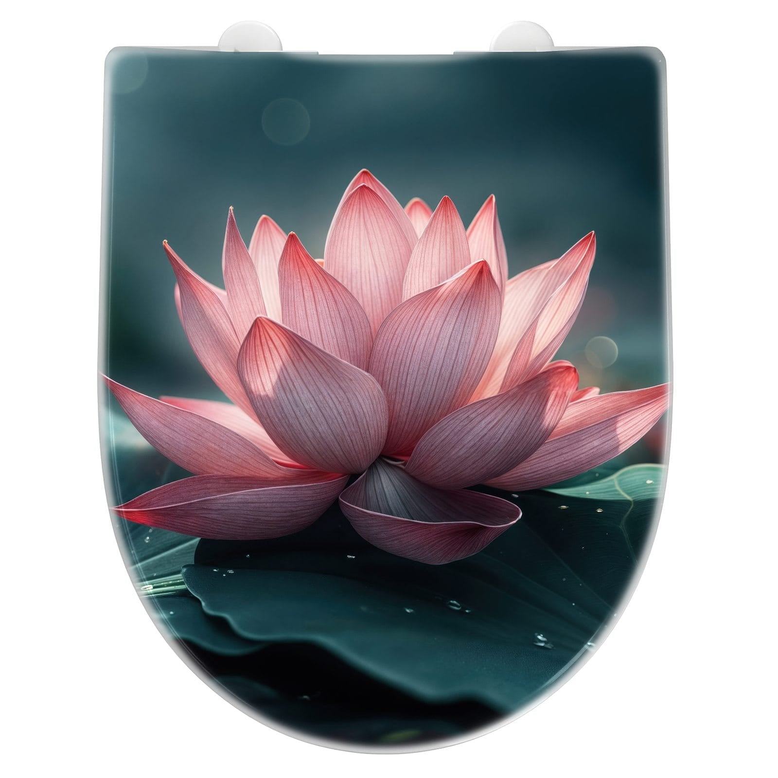 WC-Sitz mit Absenkautomatik Lotuszauber