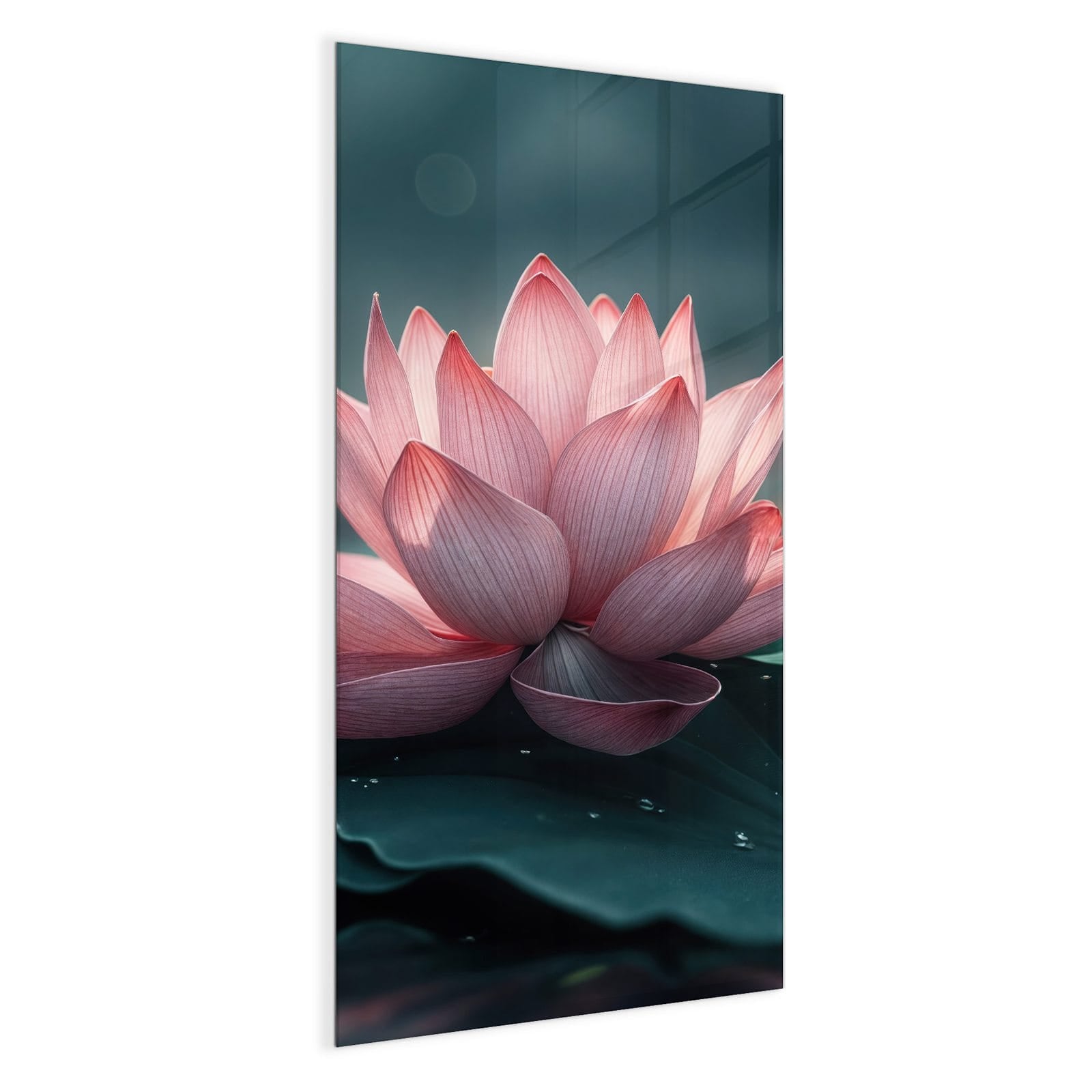 #grösse_50 x 100 cm