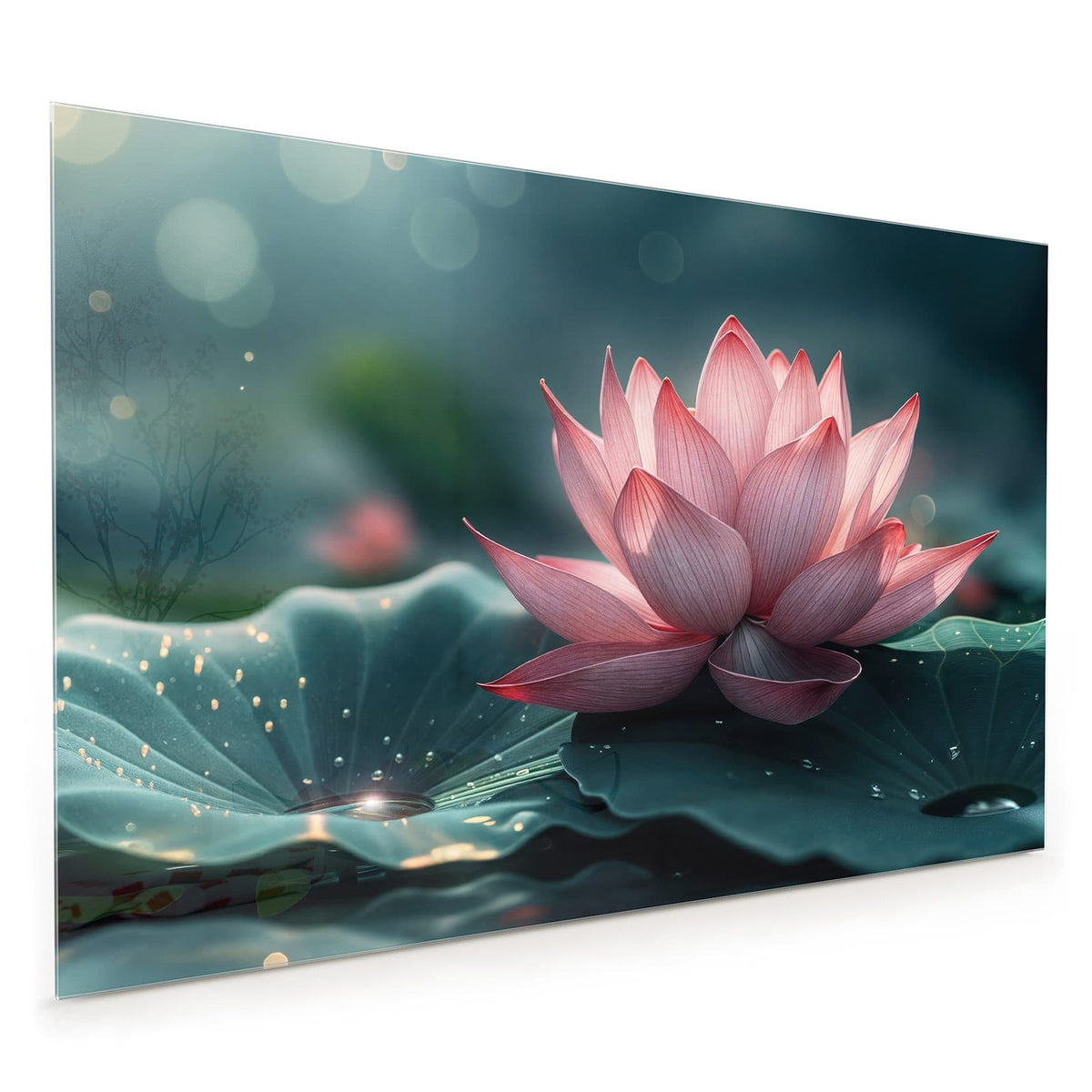 Küchenrückwand aus Glas im Hochformat: Rosa Lotusblüte auf einem Seerosenblatt über dunklem Wasser.