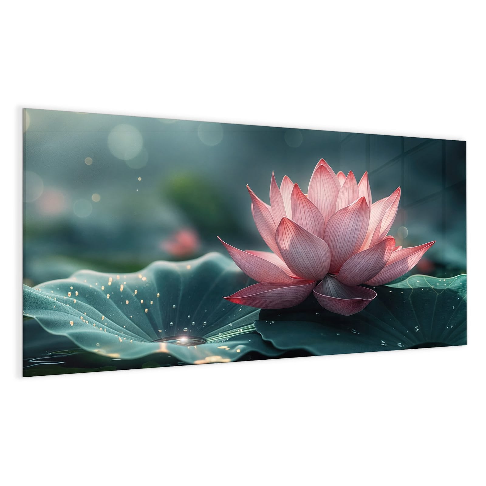 #grösse_100 x 50 cm