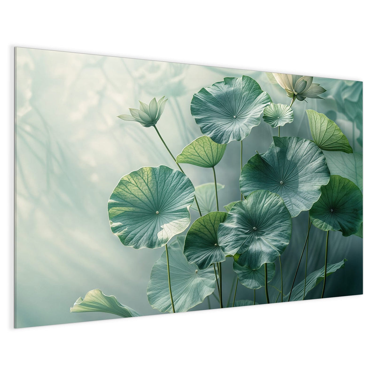 4 mm Glas statt lackiertem Blech – Magnettafel - Lotusblätter in Grün