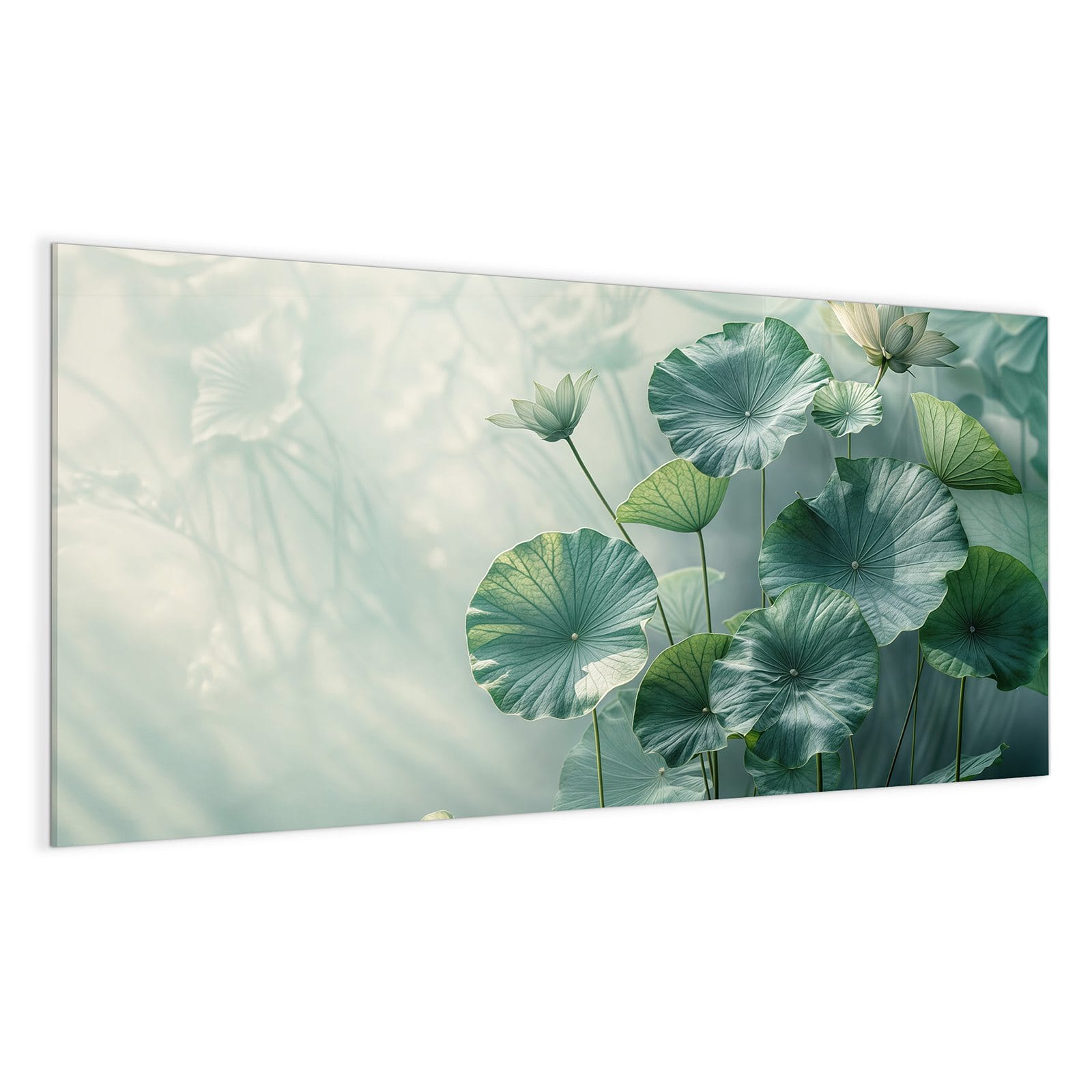 #grösse_100 x 50 cm