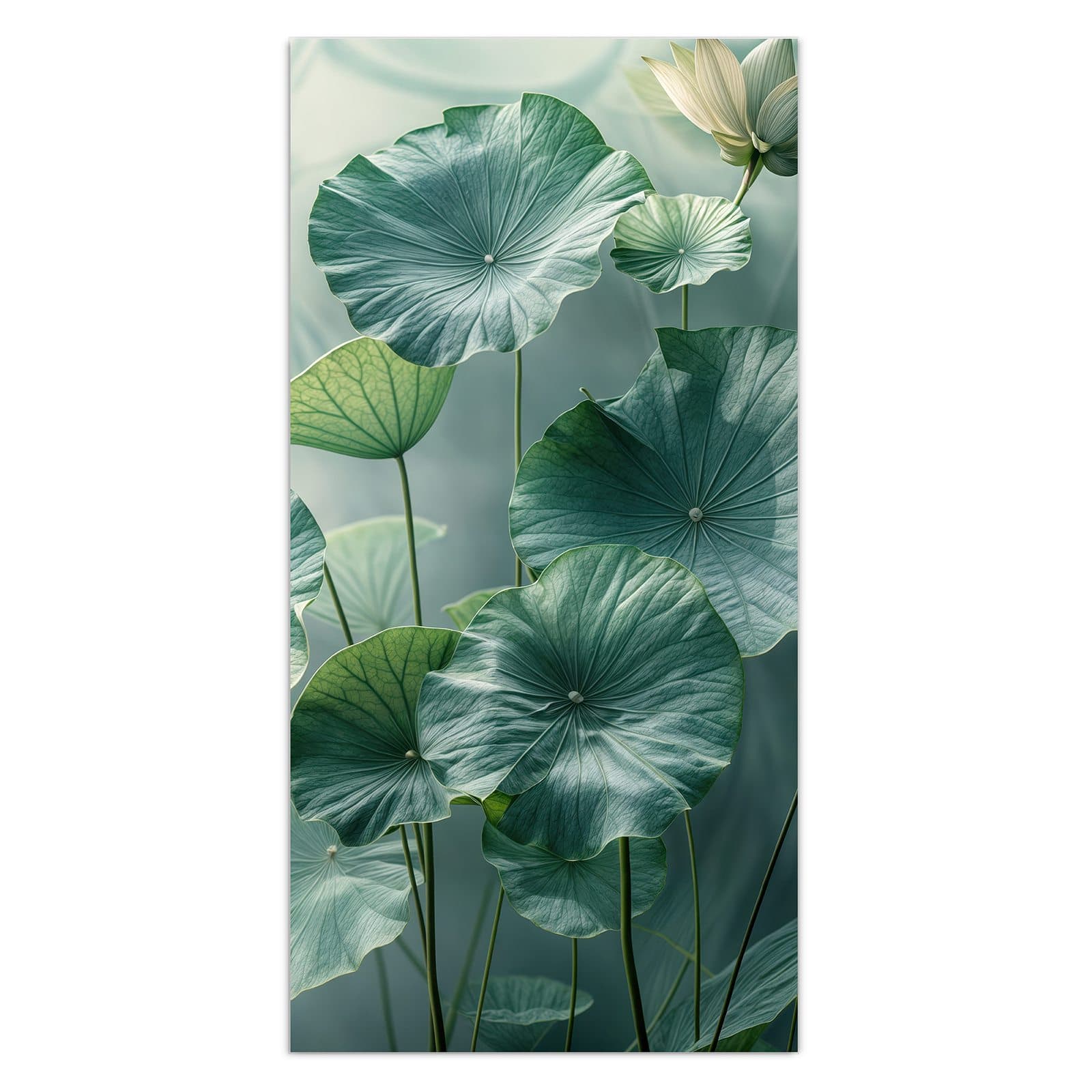 #grösse_30 x 60 cm #grösse_40 x 80 cm #grösse_50 x 100 cm #grösse_55 x 110 cm #grösse_60 x 120 cm