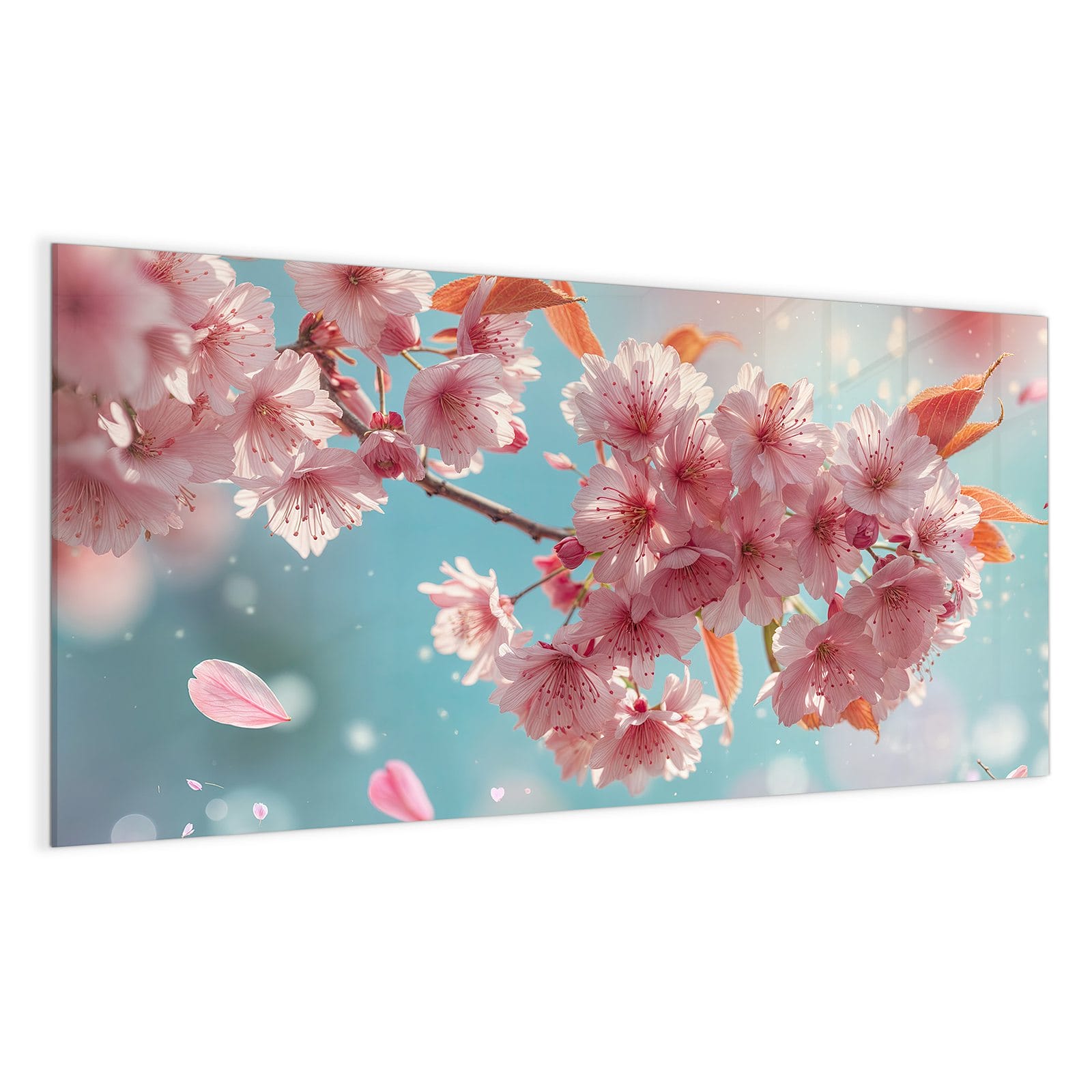 #grösse_100 x 50 cm