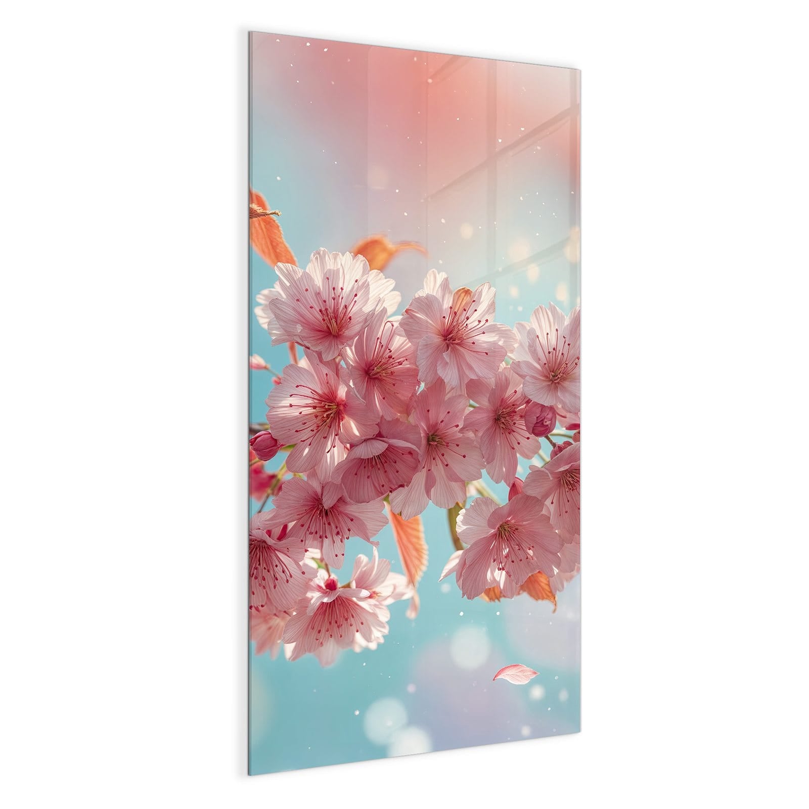 #grösse_50 x 100 cm