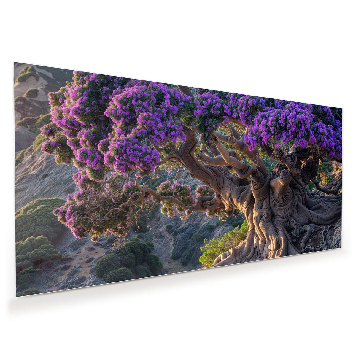 Knorriger Baum mit mächtigen Wurzeln und leuchtend violetter Blütenkrone an einem Hang