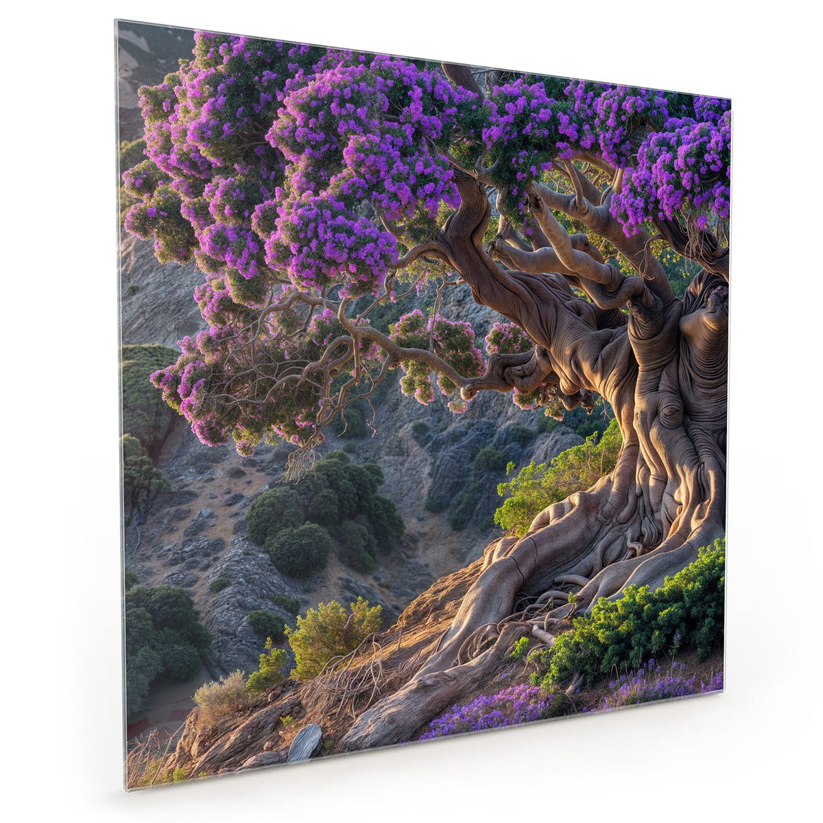 #grösse_40 x 40 cm #grösse_50 x 50 cm #grösse_60 x 60 cm