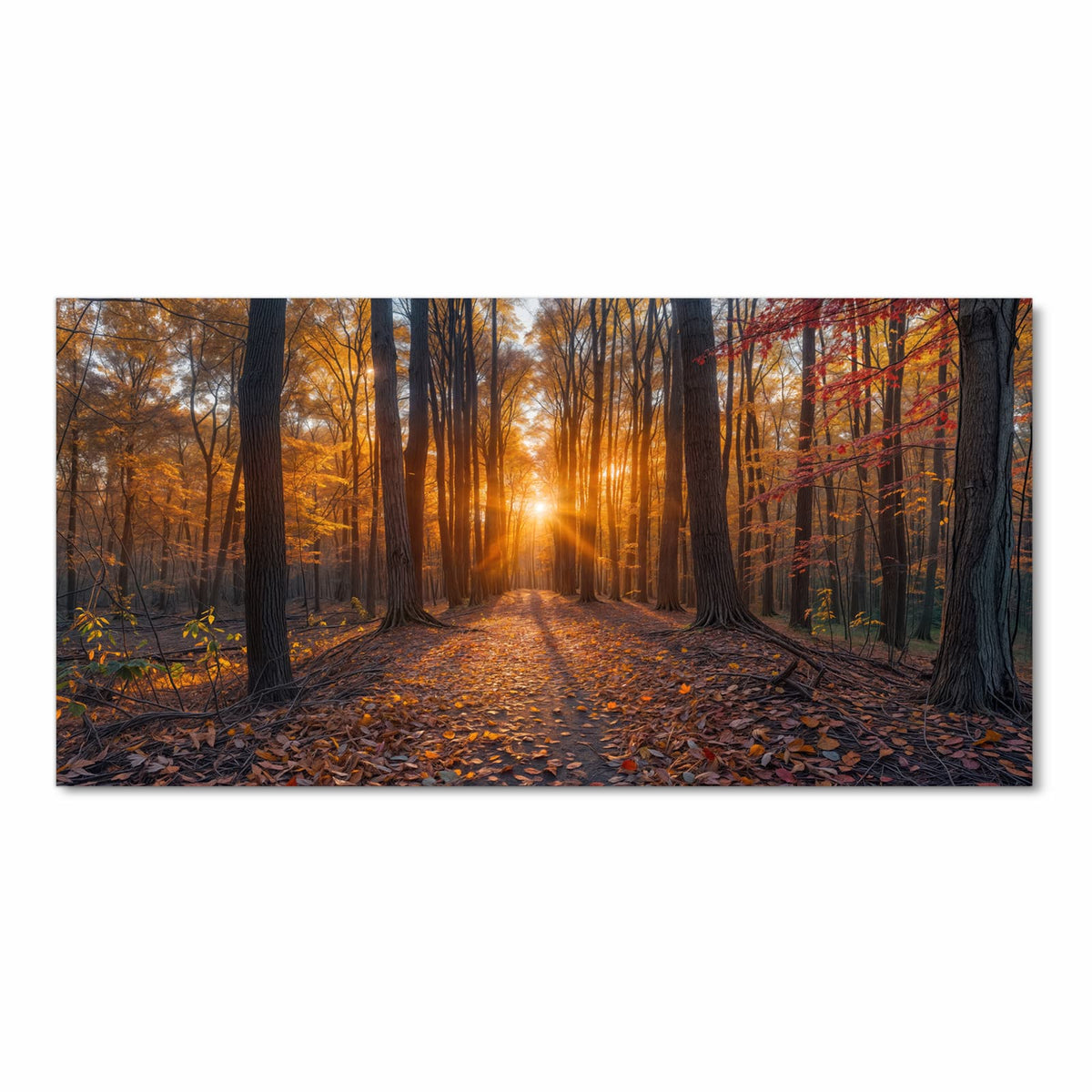 Flacher rutschfester Küchenläufer mit Motiv Sonnenuntergang Wald in Frontansicht