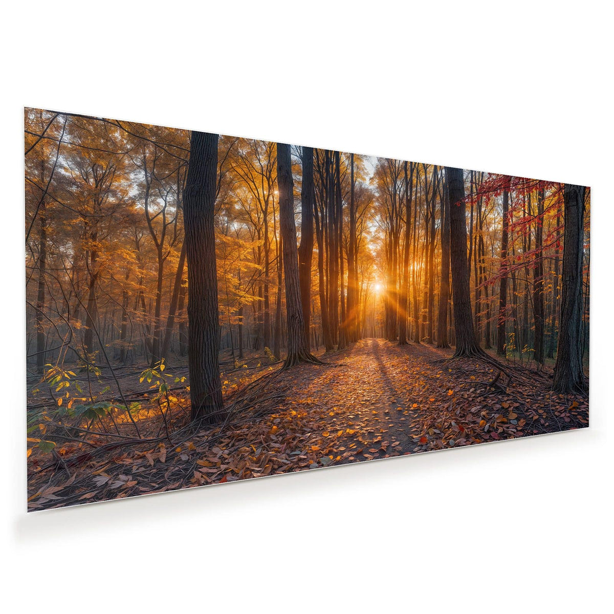 Herbstwaldweg voller Laub, tiefstehende Sonne mit Strahlenkranz zwischen den Stämmen