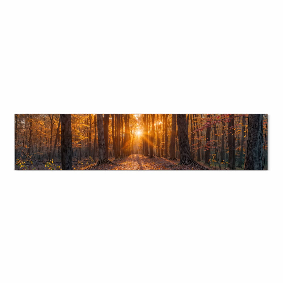 Pflegeleichter rutschfester Küchenläufer mit Motiv Sonnenuntergang Wald in Frontansicht