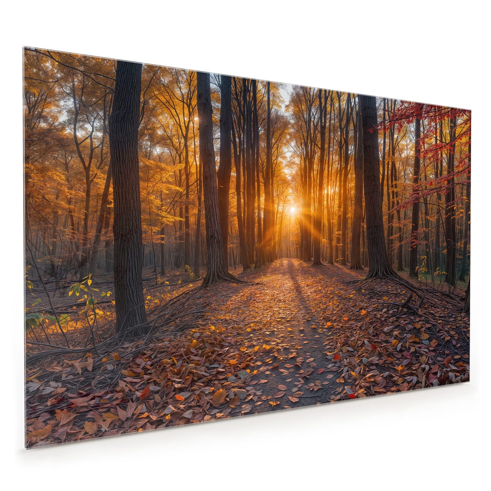 #80 x 120 cm_
