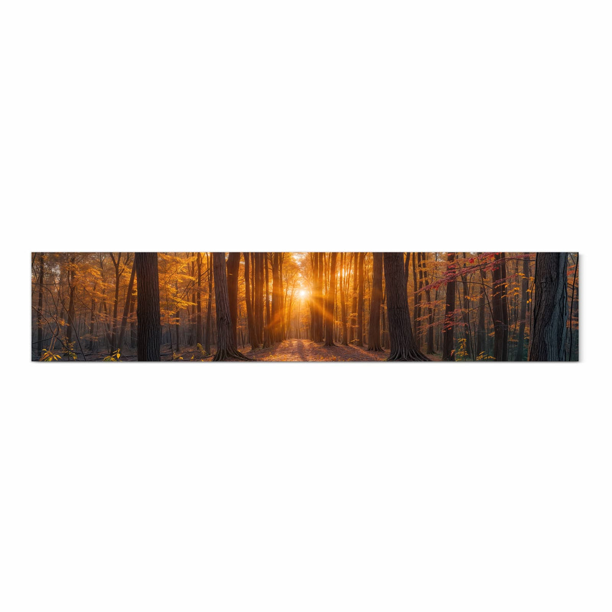 Komfortabler Küchenläufer mit Motiv Sonnenuntergang Wald in Frontansicht für angenehmes Stehen