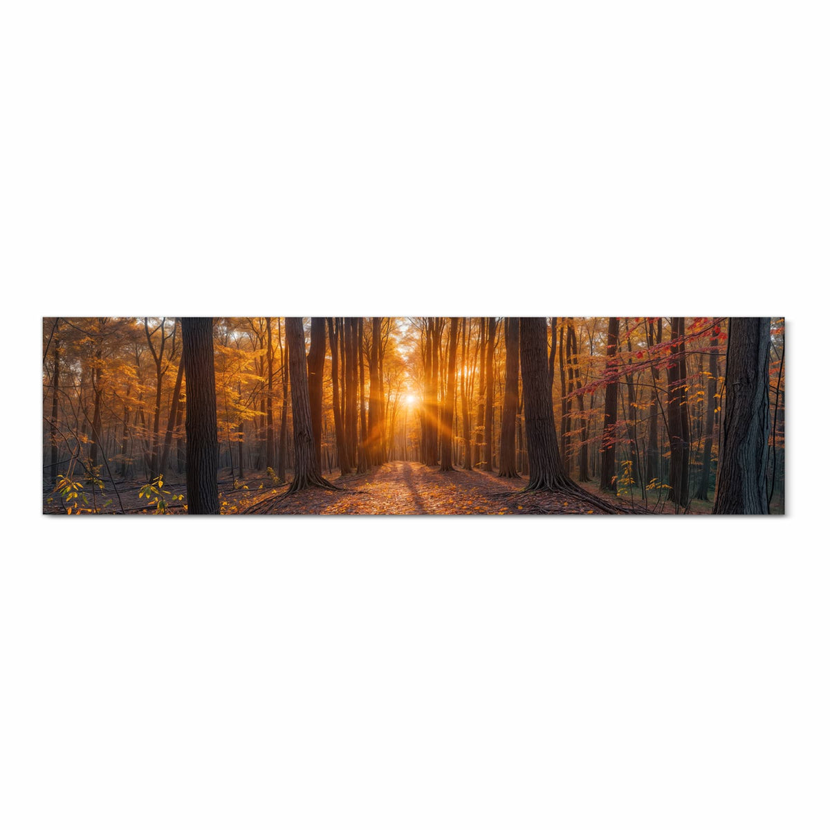 Langlebiger Küchenläufer mit Motiv Sonnenuntergang Wald in Frontansicht, abwaschbar