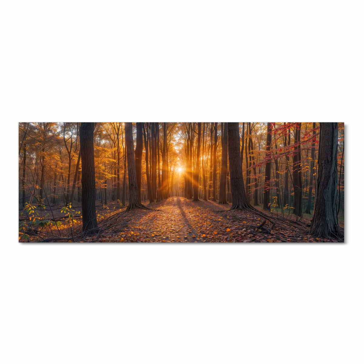 Rutschfester Küchenteppich mit Motiv Sonnenuntergang Wald in Frontansicht, abwaschbar