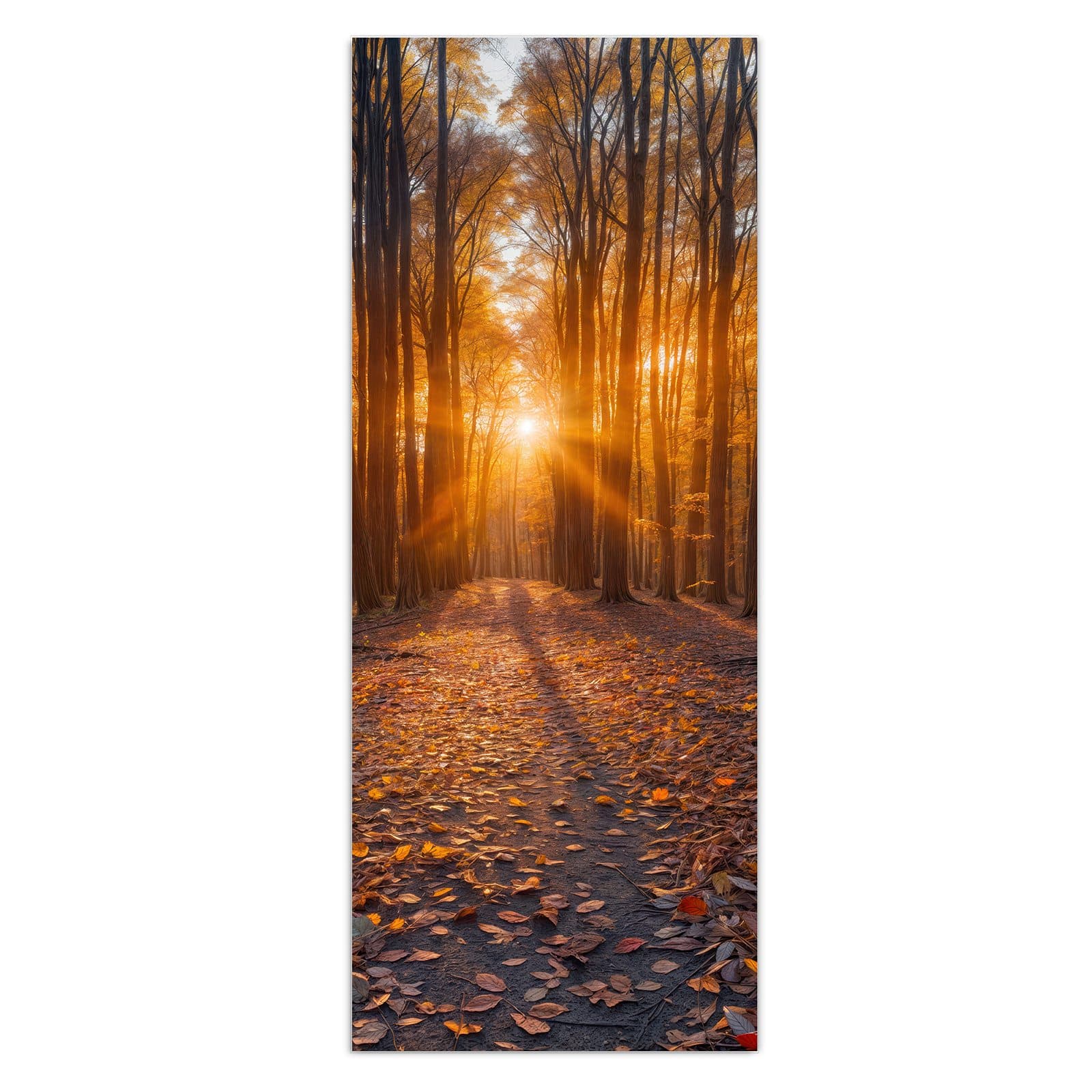 #grösse_50 x 125 cm #grösse_40 x 100 cm #grösse_60 x 150 cm