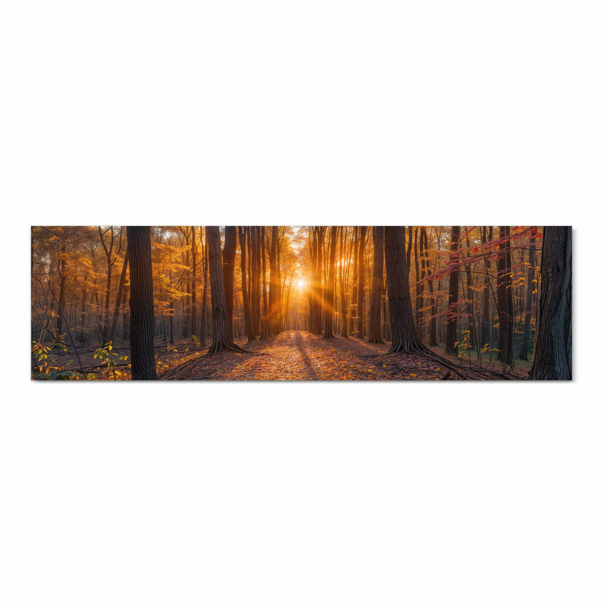 Waschbarer moderner Küchenläufer mit Motiv Sonnenuntergang Wald in Frontansicht