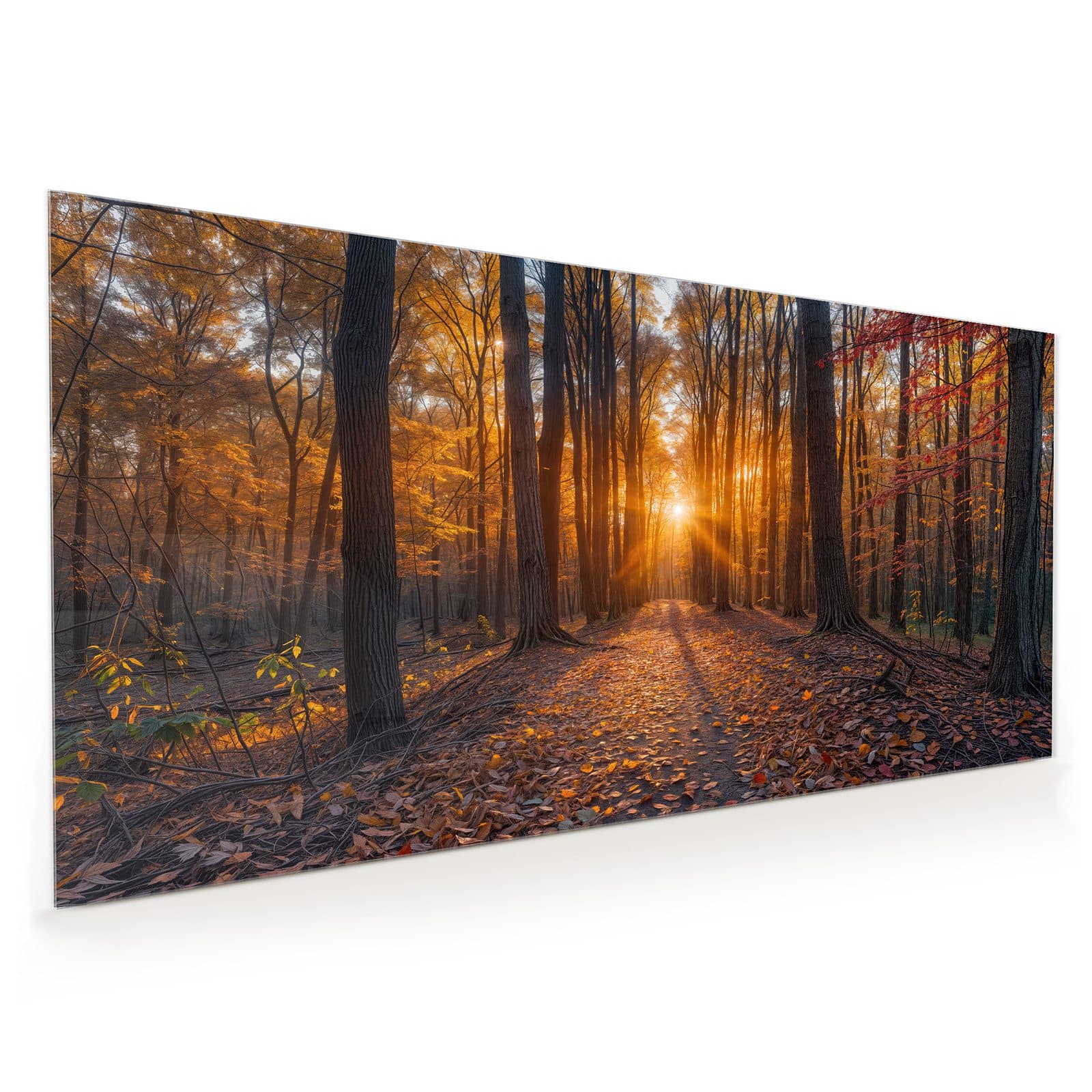 #60 x 120 cm_