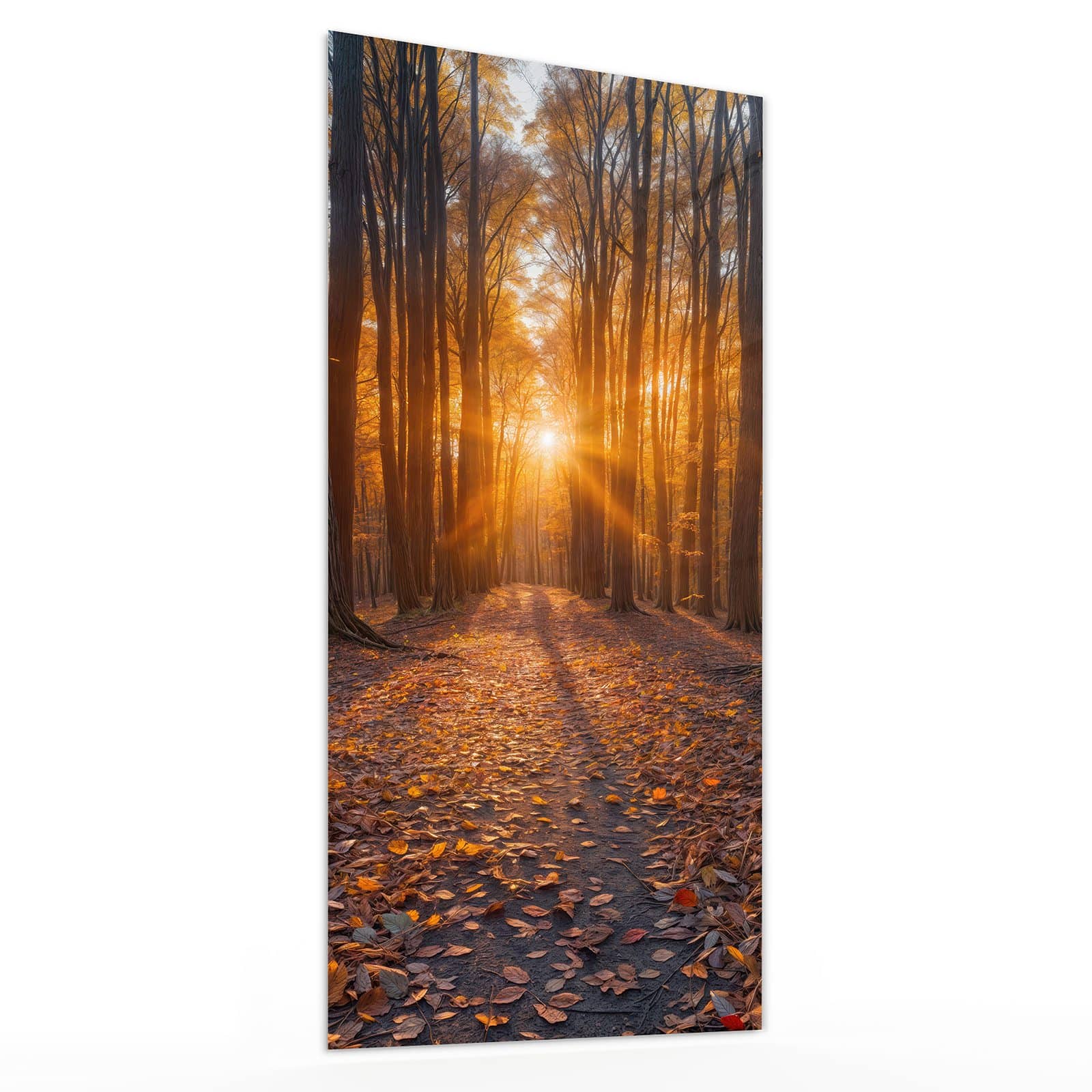 #grösse_30 x 60 cm #grösse_40 x 80 cm #grösse_50 x 100 cm #grösse_55 x 110 cm #grösse_60 x 120 cm