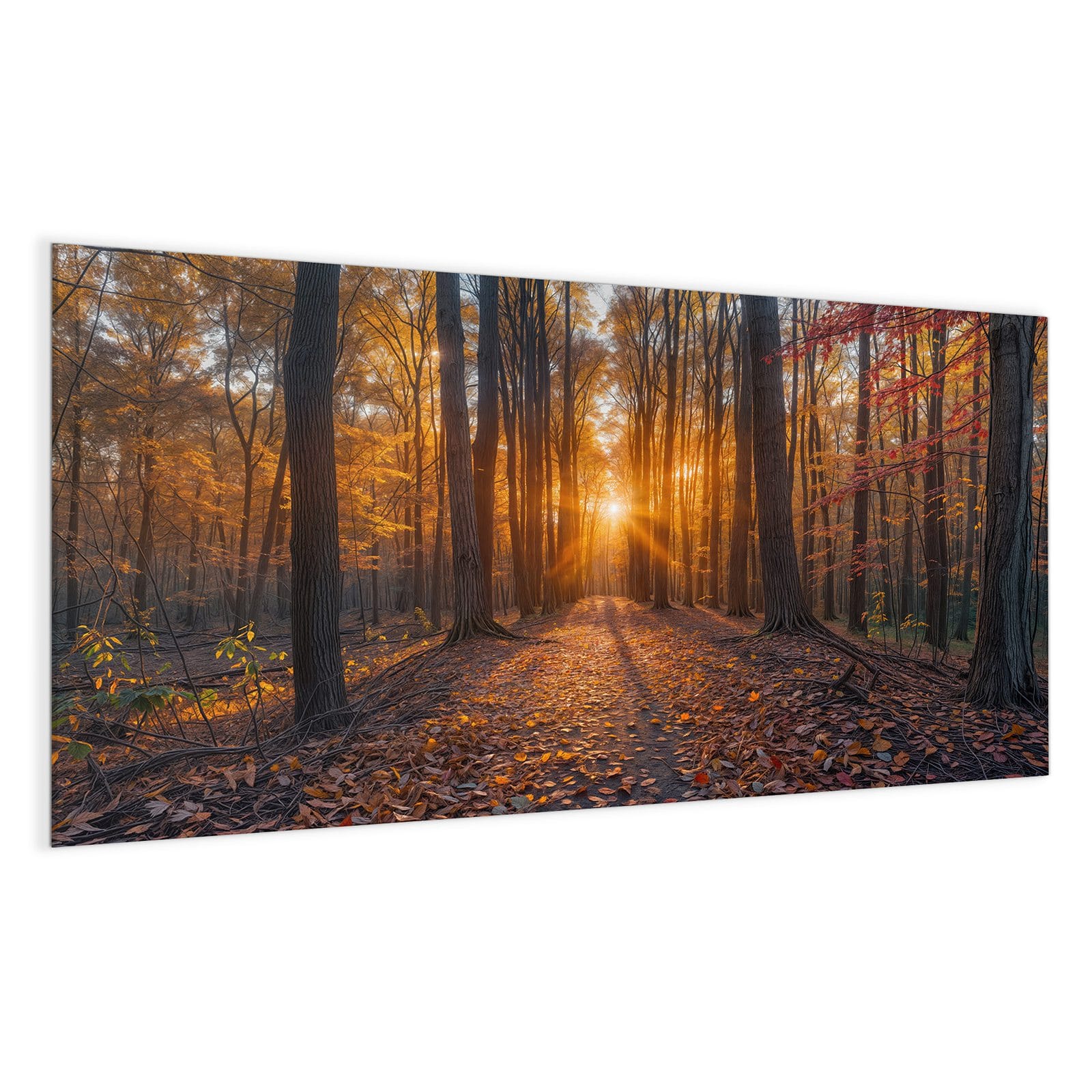 #grösse_100 x 50 cm