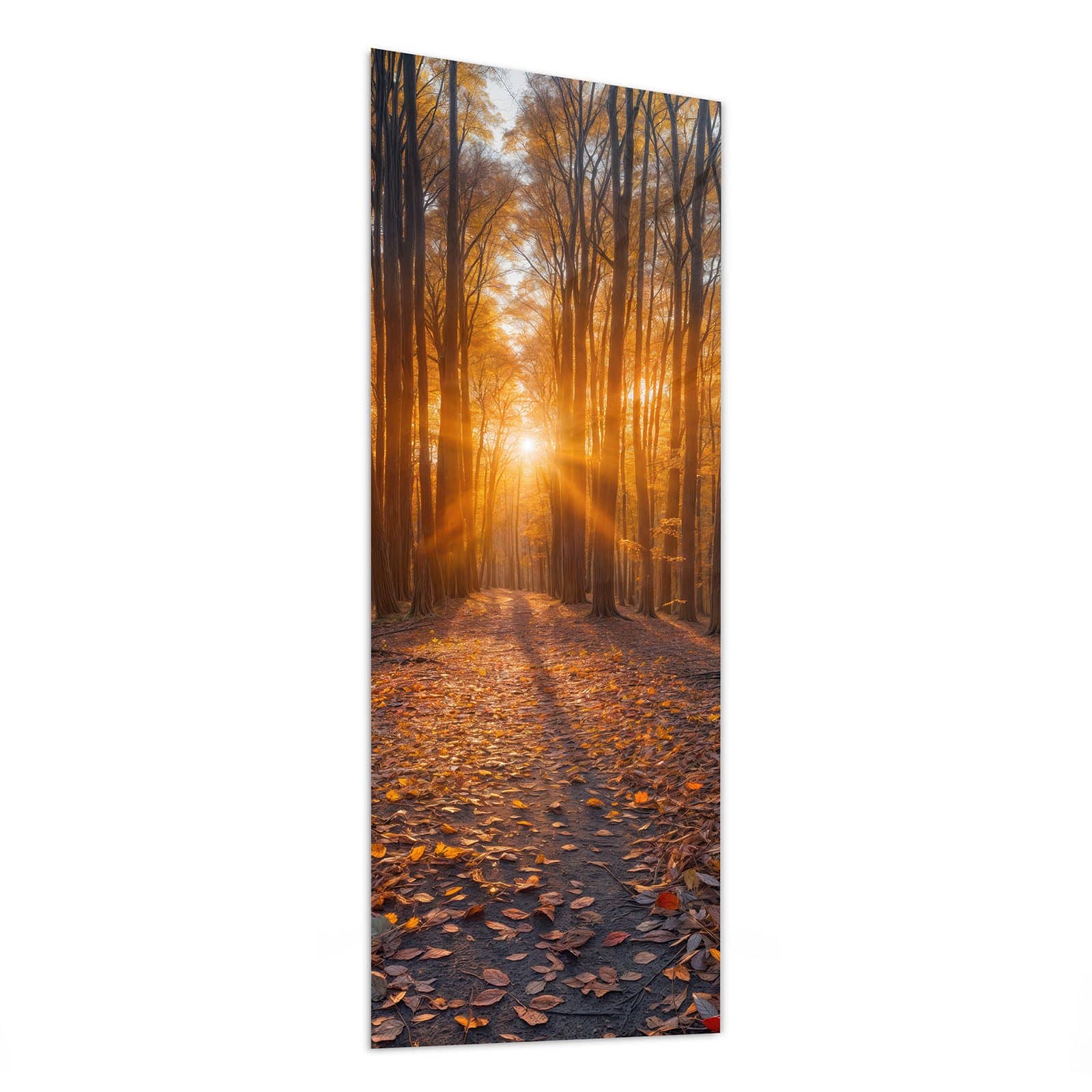 #grösse_50 x 125 cm #grösse_40 x 100 cm #grösse_60 x 150 cm