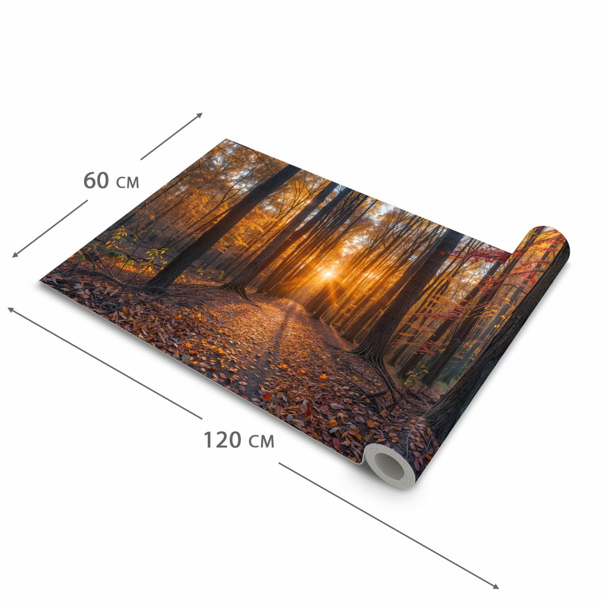 Geräuschdämpfender Teppich für die Küche mit Motiv Sonnenuntergang Wald in der Größe 60x180 cm