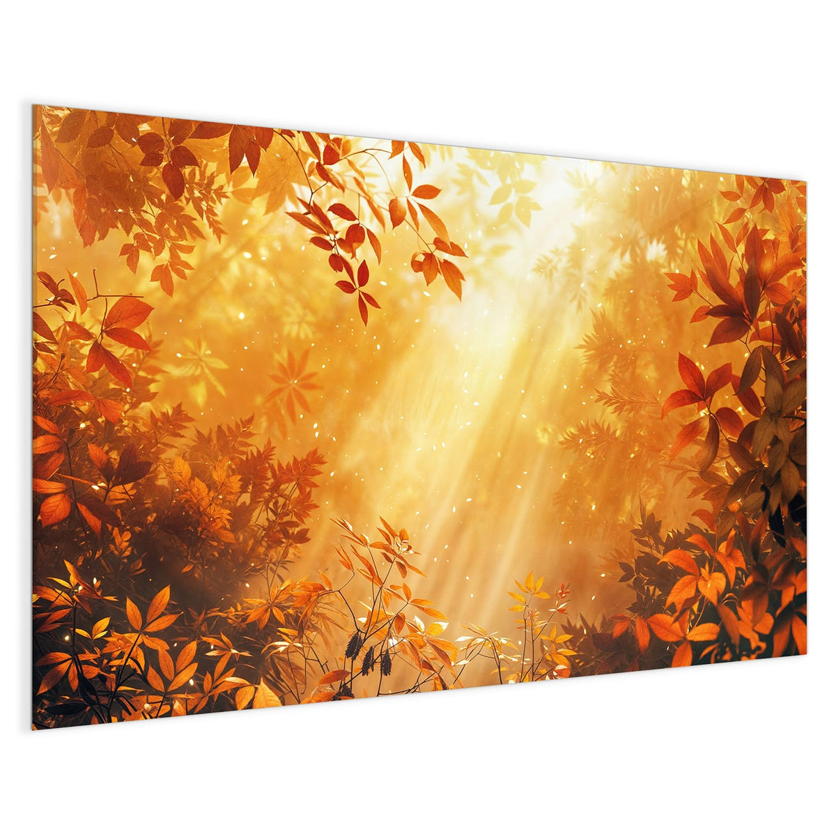 4 mm Glas statt lackiertem Blech – Magnettafel - Herbstwald im Gegenlicht