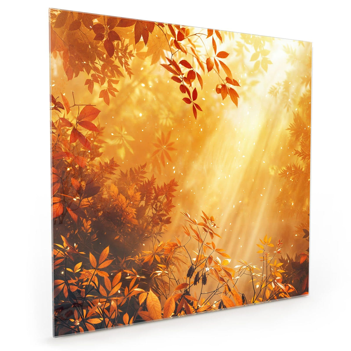 #grösse_40 x 40 cm #grösse_50 x 50 cm #grösse_60 x 60 cm