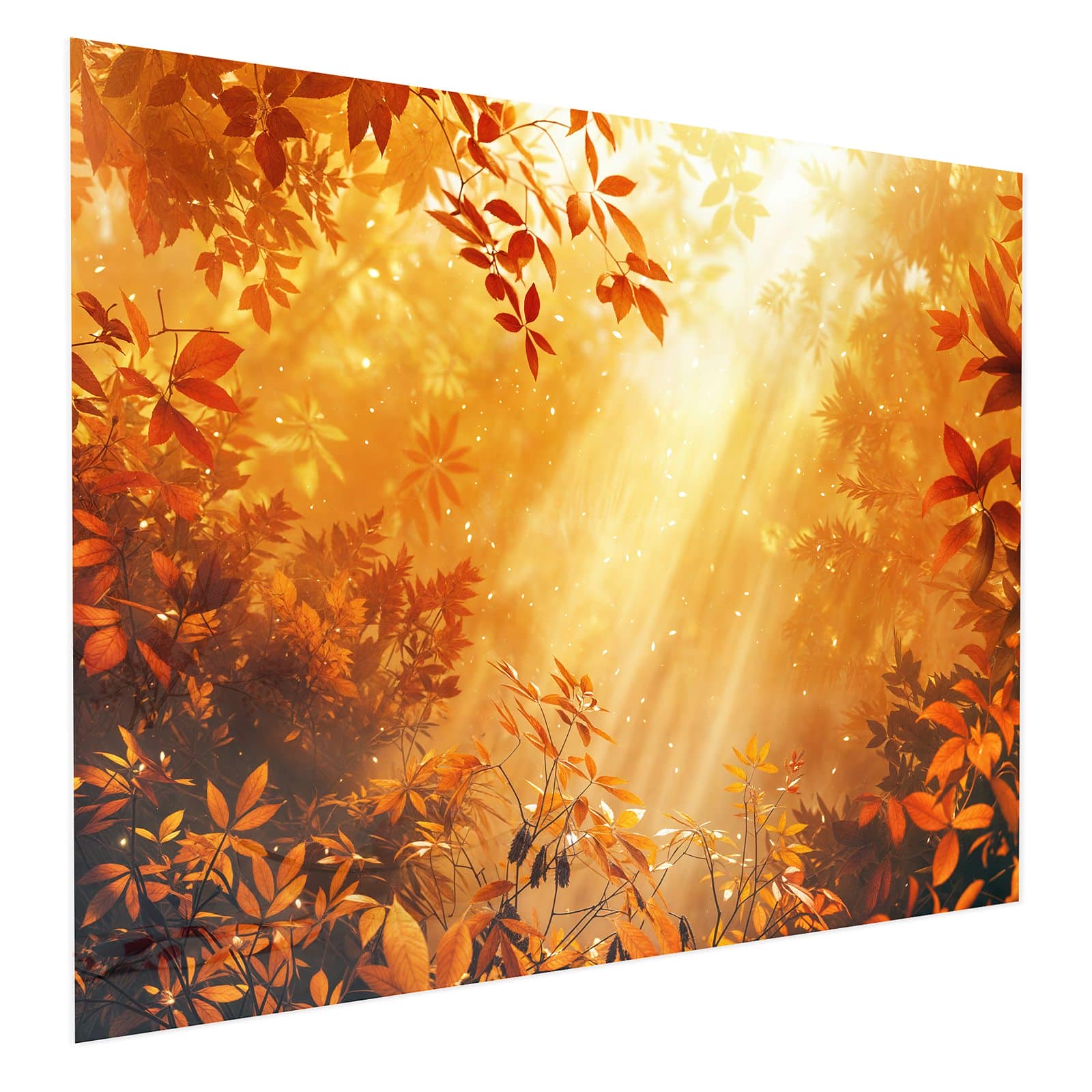 #grösse_75 x 60 cm #grösse_100 x 80 cm