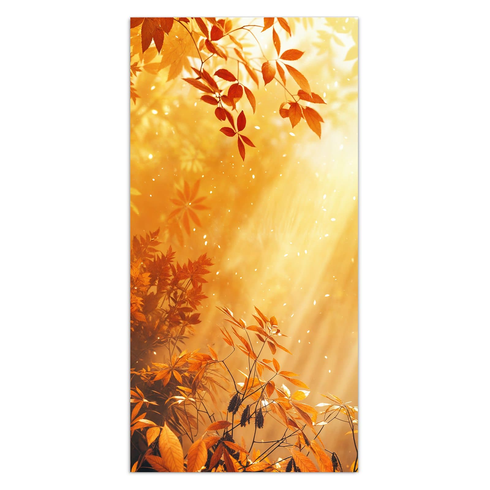 #grösse_30 x 60 cm #grösse_40 x 80 cm #grösse_50 x 100 cm #grösse_55 x 110 cm #grösse_60 x 120 cm