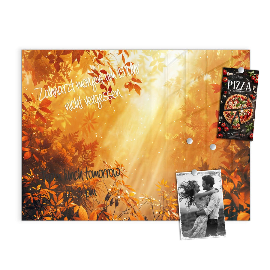 Maße Magnettafel - Herbstwald im Gegenlicht