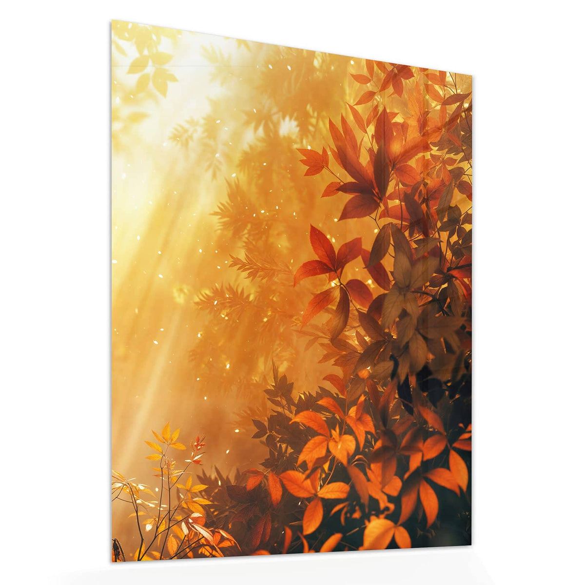 Echtglas, 4 mm – kein Acryl, keine Folie – Wandbild - Herbstwald im Gegenlicht - Hochformat