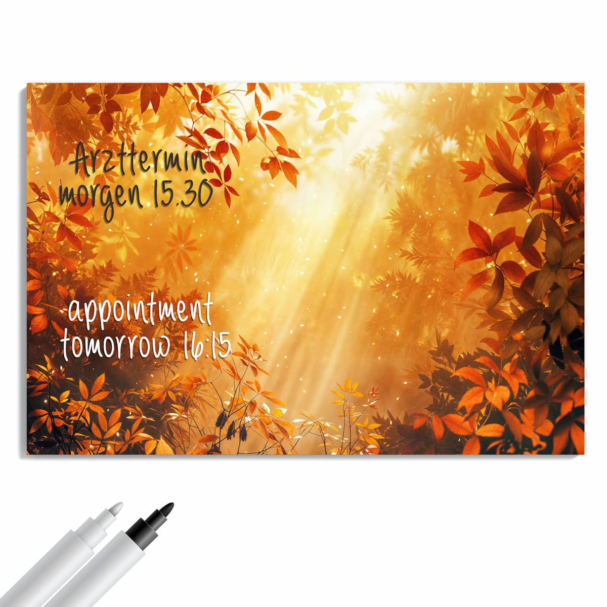 Beschreiben, abwischen, anheften – Metall Magnettafel - Herbstwald im Gegenlicht