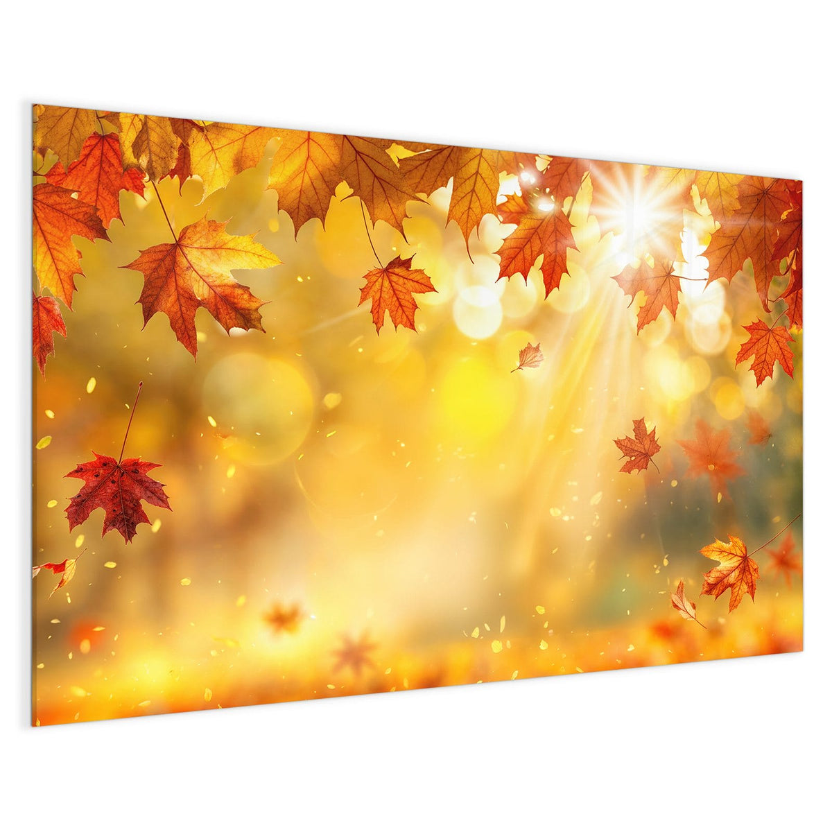 4 mm Glas statt lackiertem Blech – Magnettafel - Sonne im Ahornlaub