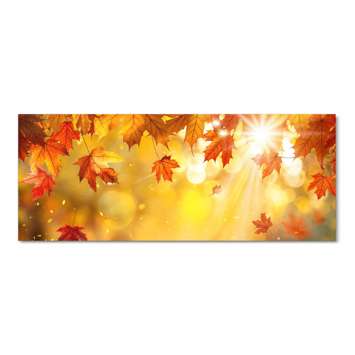 Rote Ahornblätter im Gegenlicht, Sonnenstrahlen und goldenes Bokeh