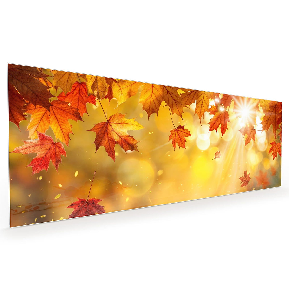 Küchenrückwand aus Glas im Hochformat: Rote Ahornblätter im Gegenlicht, Sonnenstrahlen und goldenes Bokeh #grösse_40 x 100 cm #grösse_50 x 125 cm #grösse_60 x 150 cm