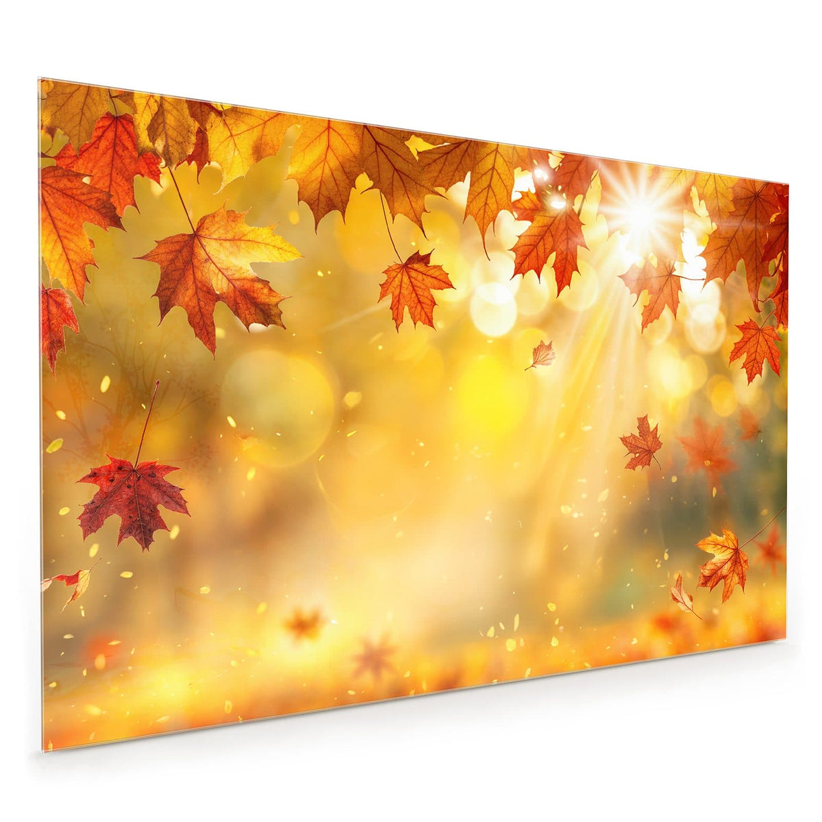 Küchenrückwand aus Glas im Hochformat: Rote Ahornblätter im Gegenlicht, Sonnenstrahlen und goldenes Bokeh