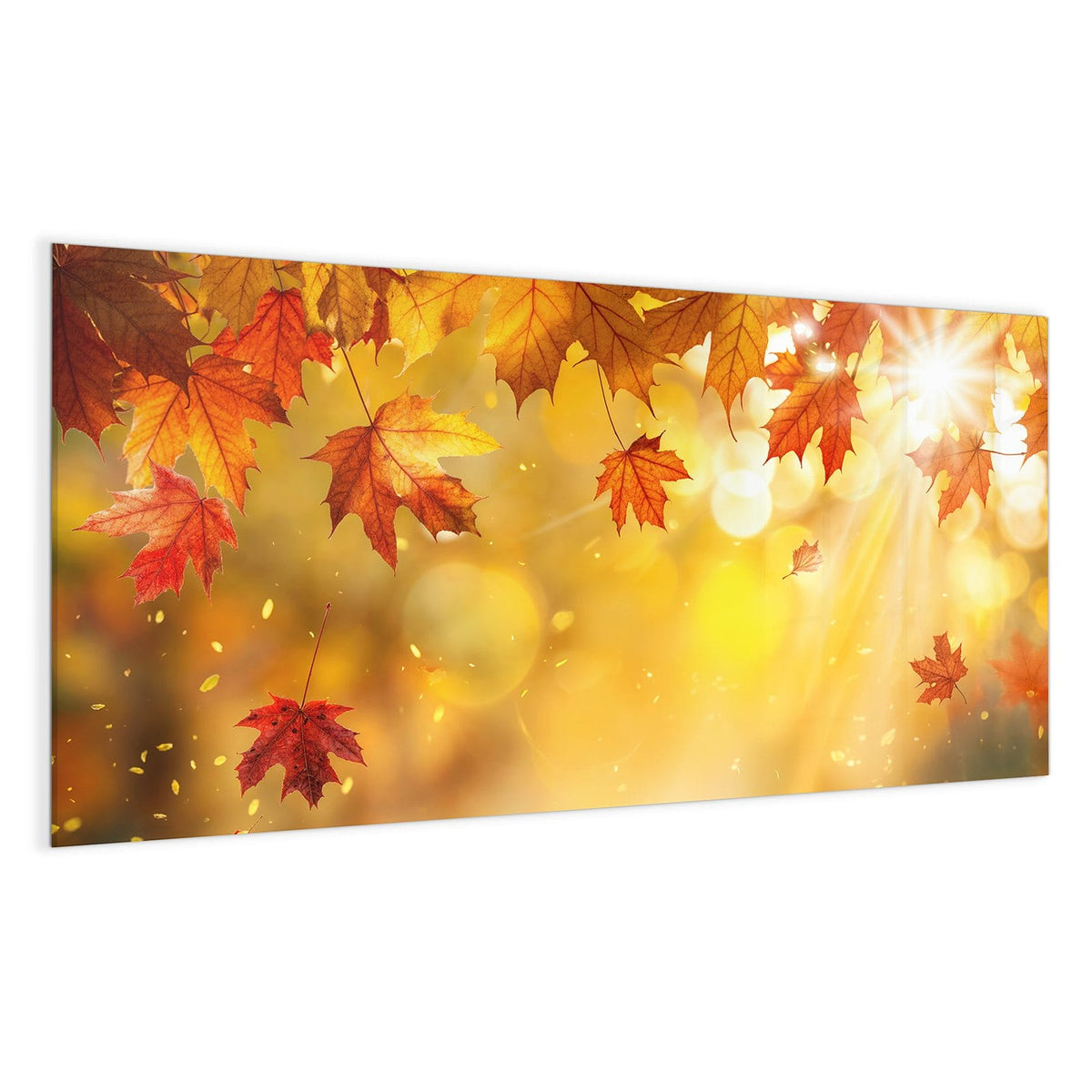 Rote Ahornblätter im Gegenlicht, Sonnenstrahlen und goldenes Bokeh