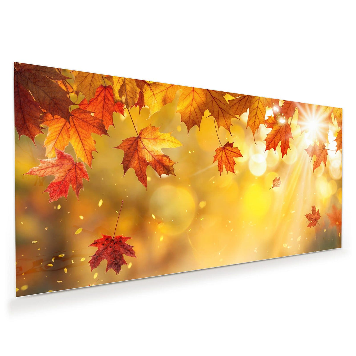 Rote Ahornblätter im Gegenlicht, Sonnenstrahlen und goldenes Bokeh
